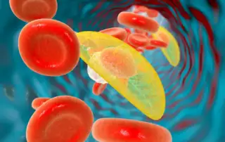 ilustracao do virus toxoplasma gondii